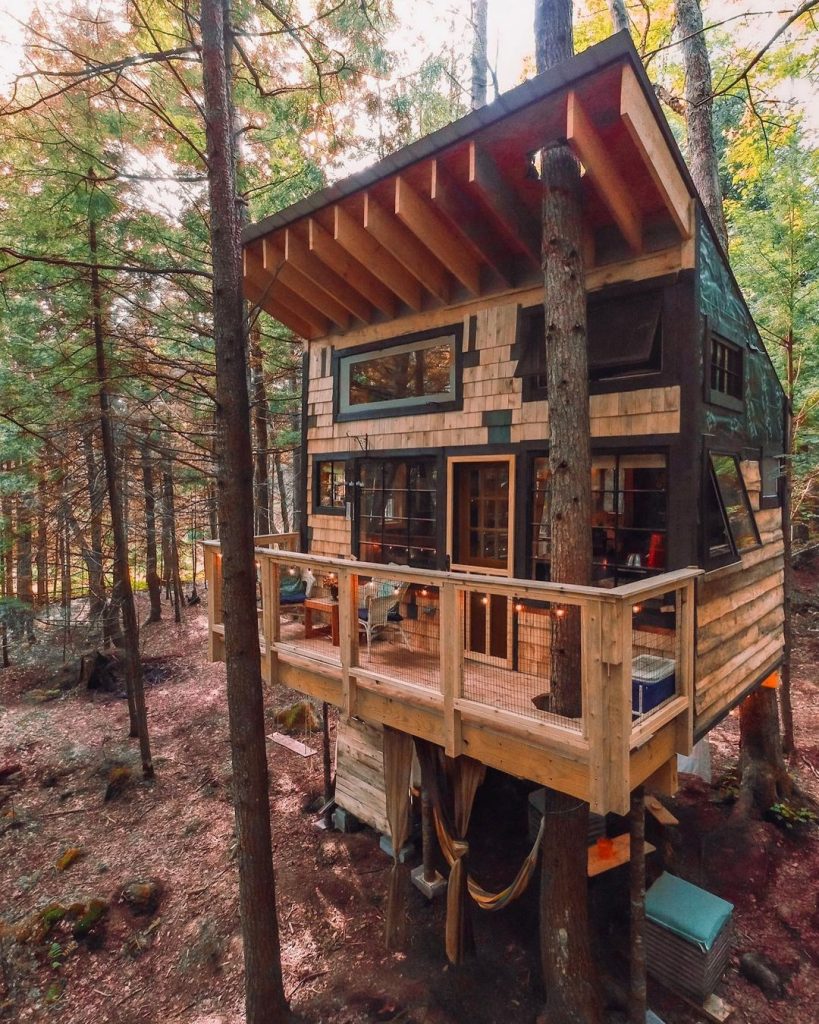 CASAS NAS ARVORES NA FLORESTA 1 819x1024 - Casas nas &Aacute;rvores na Floresta