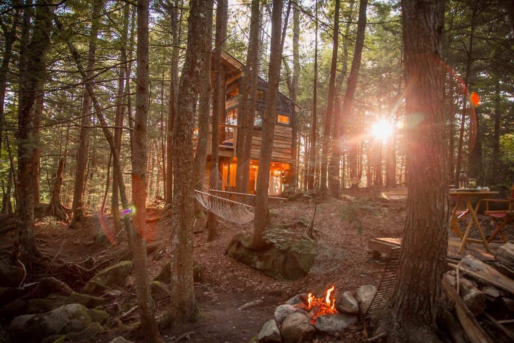 CASAS NAS ARVORES NA FLORESTA 2 1024x683 - Casas nas &Aacute;rvores na Floresta