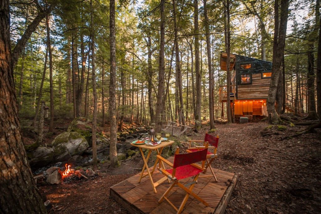 CASAS NAS ARVORES NA FLORESTA 3 1024x683 - Casas nas &Aacute;rvores na Floresta