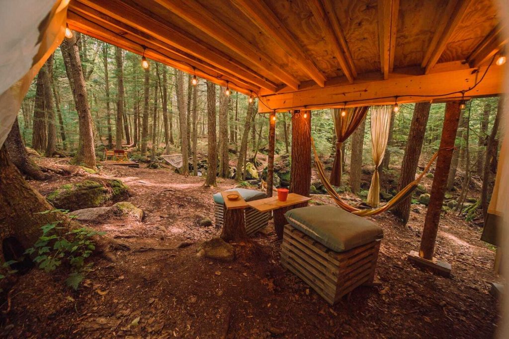 CASAS NAS ARVORES NA FLORESTA 6 1024x683 - Casas nas &Aacute;rvores na Floresta