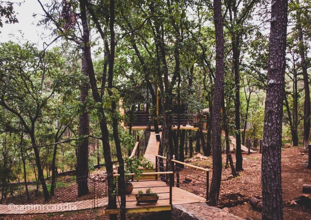 O Modelo Mais Bonito de Casa na Arvore 1 1024x725 - O Modelo Mais Bonito de Casa na &Aacute;rvore