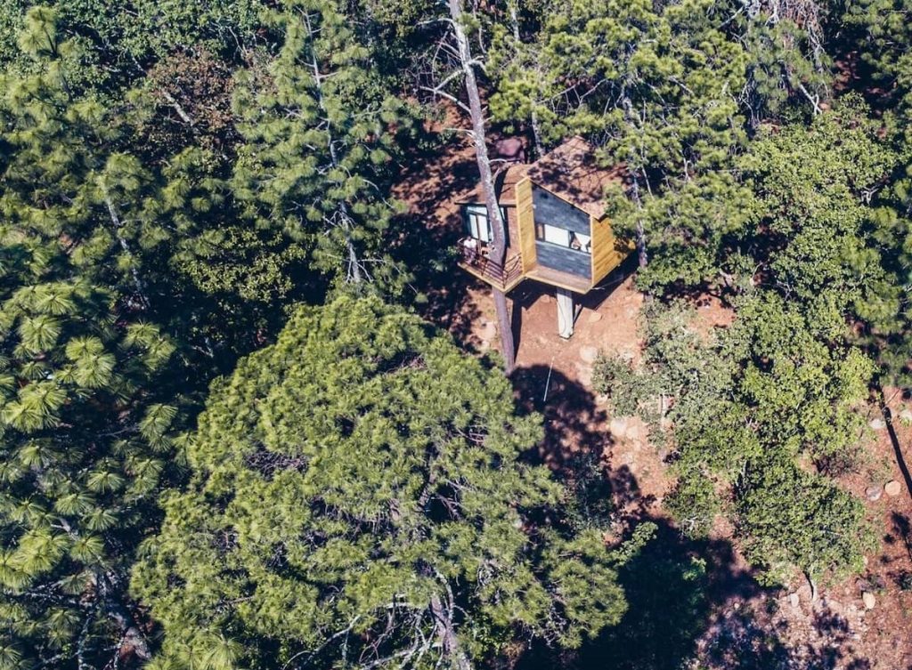 O Modelo Mais Bonito de Casa na Arvore 16 1024x753 - O Modelo Mais Bonito de Casa na &Aacute;rvore