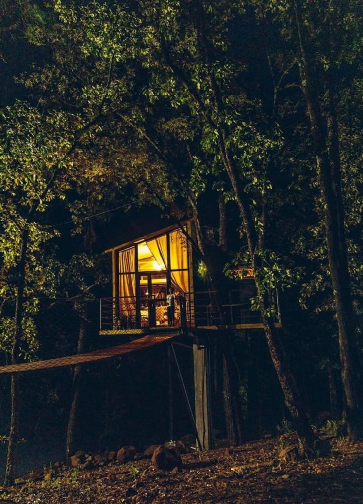 O Modelo Mais Bonito de Casa na Arvore 17 737x1024 - O Modelo Mais Bonito de Casa na &Aacute;rvore