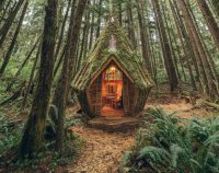 Cabana Minúscula de Beleza Única