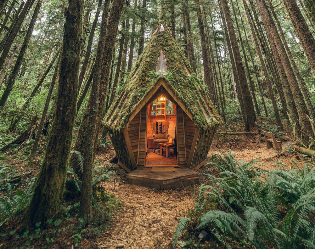 Unique Beauty Tiny Cabin House 1024x810 1 - Cabana Minúscula de Beleza Única
